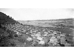 Saat Pribumi Mengalami Diskriminasi di Tengah Wabah Pes Era Penjajahan