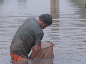 Mendulang Emas Merah di Lumpur BKT