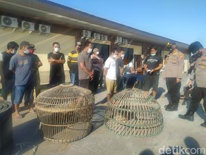 Judi Sabung Ayam di Sidoarjo Digerebek, 13 Pejudi Diamankan Judi Sabung Ayam di Sidoarjo Digerebek, 13 Pejudi Diamankan