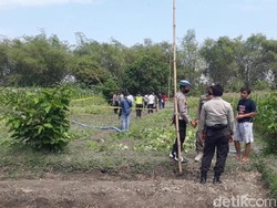 Selama 10 Bulan, 7 Orang Tewas Tersetrum Jebakan Tikus di Bojonegoro