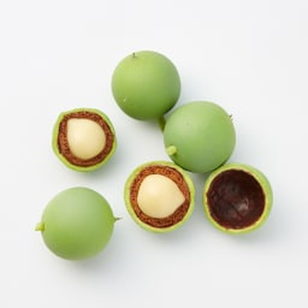 Ingridient GBR/ Sumber: www.kravebeauty.com Tamanu Oil merupakan salah satu bahan dasar Great Barrier Relief