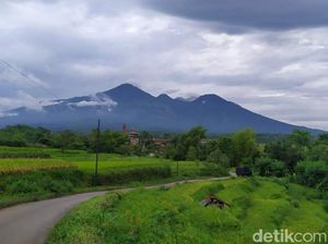 Sebelum Tewas di Gunung Arjuno, Mahasiswa UB Sempat Halu dan Meracau