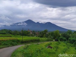 Sederet Tantangan Mendaki Gunung Arjuno