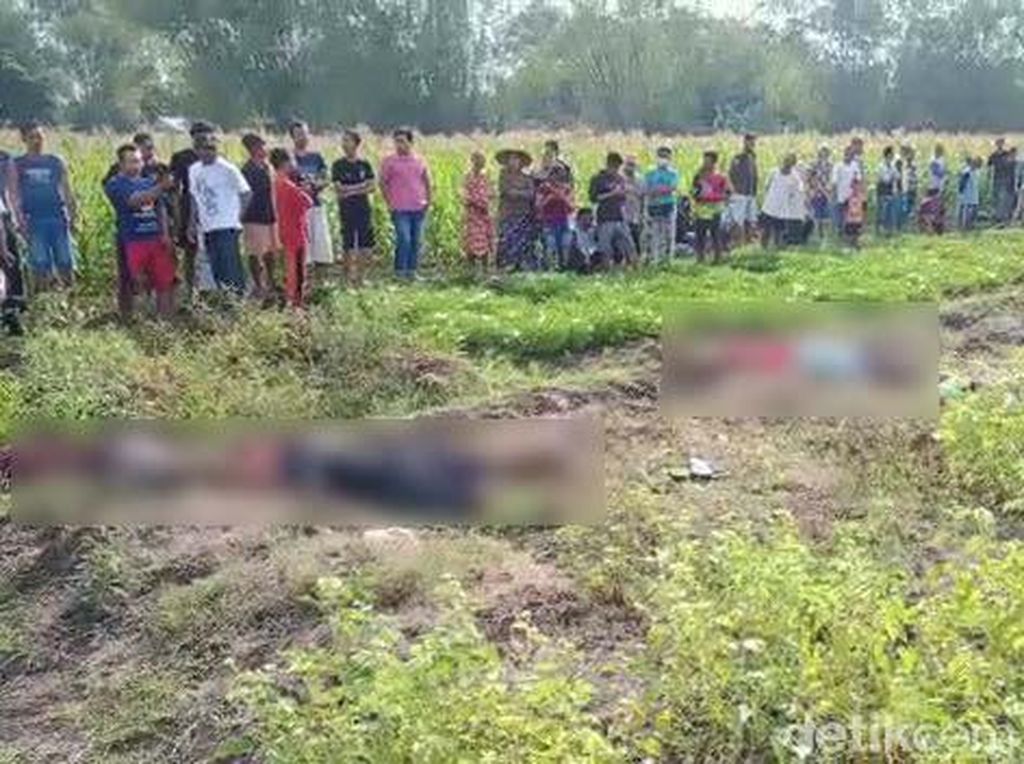 Jebakan Tikus Tewaskan Satu Keluarga di Bojonegoro Jebakan Tikus Tewaskan Satu Keluarga di Bojonegoro