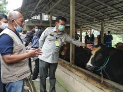 Mentan: Ketahanan Pangan di Sukabumi Baik