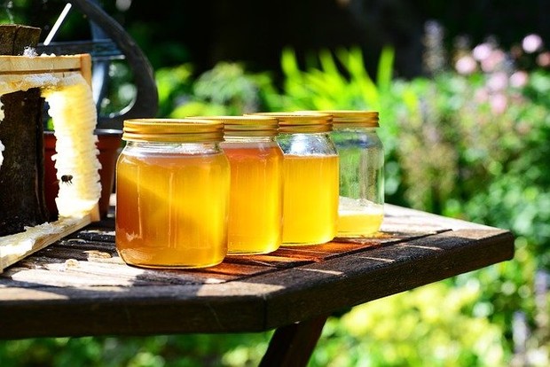 Madu Dapat Perkuat Kekebalan Tubuh/ Foto: Pixabay.com
