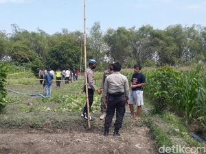 Satu Keluarga Tewas, Petani Diimbau Tak Buat Jebakan Tikus Listrik Sejak Dulu