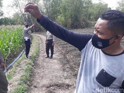 Begini Model Jebakan Tikus yang Tewaskan Satu Keluarga di Bojonegoro