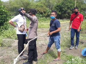 Warga Duga Jebakan Tikus Ini Dapat Banyak Mangsa, Ternyata Tewaskan 1 Keluarga Warga Duga Jebakan Tikus Ini Dapat Banyak Mangsa, Ternyata Tewaskan 1 Keluarga