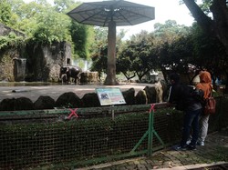 Kata Pemprov soal Tingkat Kepatuhan Prokes di Tempat Wisata Jakarta Terendah