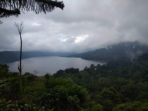 Danau Buyan Bali: Lokasi, Sejarah, dan Daya Tariknya