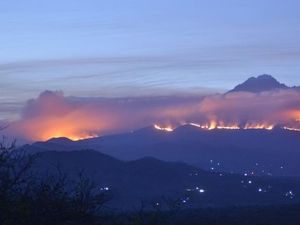 Penyebab Kebakaran di Gunung Kilimanjaro Telah Diketahui Penyebab Kebakaran di Gunung Kilimanjaro Telah Diketahui