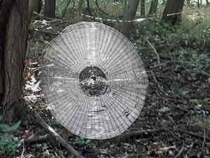 Jaring Laba-Laba Ternyata Lebih Kuat dari Baja, Apa Rahasianya?