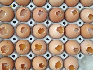 Menikmati Street Food di Ban Mixay Vientiane Laos