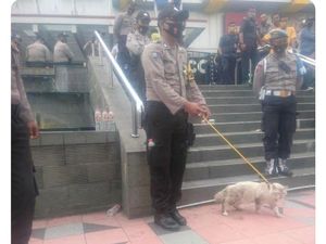 Gemas! Viral Polisi Bawa Kucing Pelacak di Tengah Demo, Ternyata...