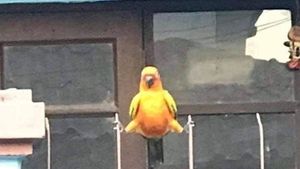 Potret Aneka Tingkah Aneh Hewan yang Dibagikan Netizen