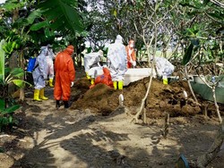 Video Kasus Positif Covid-19 RI Per 15 Oktober Bertambah 4.411 Orang