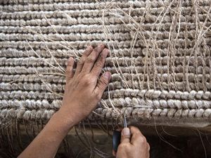 Serat Abaka Merupakan Contoh Hasil Perkebunan Negara Apa? Ini Penjelasannya