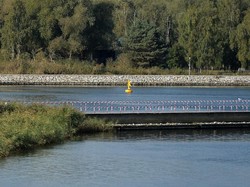 Bom Perang Dunia II di Polandia Meledak Saat Dijinakkan di Dalam Air