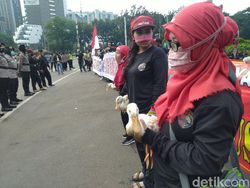 Buruh Demo di Patung Kuda Bawa Bebek, Untuk Apa?