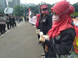 Buruh Demo di Patung Kuda Bawa Bebek, Untuk Apa?