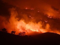 71 Rumah Rusak Parah Akibat Kebakaran Hutan Australia Saat Lockdown