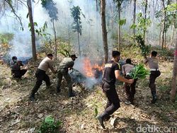Melihat Simulasi Antisipasi Kebakaran Hutan di Kediri