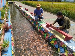 Magelang Punya 9 Desa Wisata Baru, Biar Tak Kumpul di Candi Borobudur