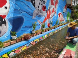 9 Desa Wisata Baru di Magelang, Gunung Emas Tersembunyi di Papua