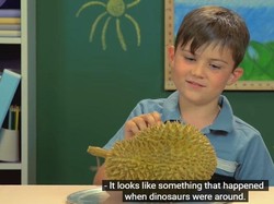 Cicip Durian Pertama Kali, Bocah Amerika: Kayak Bau Kentut!