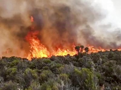 Kilimanjaro, Gunung Tertinggi di Afrika Terbakar