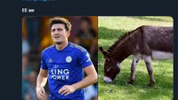 Meme Maguire dulunya bagus di Leicester, kini mainnya seperti keledai. (Foto: internet/Twitter)