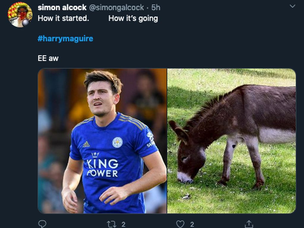 Meme Harry Maguire Habis Kena Ledek, Dibilang Keledai dan Kulkas Meme Harry Maguire Habis Kena Ledek, Dibilang Keledai dan Kulkas