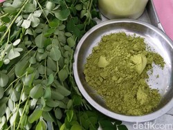 Boleh Percaya Atau Tidak, Daun Kelor Mampu Usir Makhluk Halus