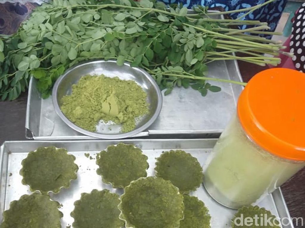 Pandemi COVID-19, Warga Lamongan Manfaatkan Daun Kelor Jadi 9 Olahan Makanan Pandemi COVID-19, Warga Lamongan Manfaatkan Daun Kelor Jadi 9 Olahan Makanan