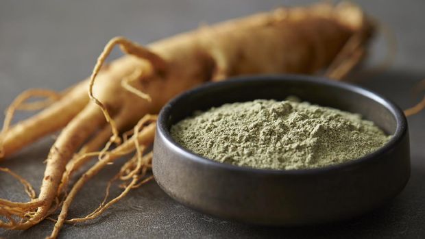 Ilustrasi gingseng