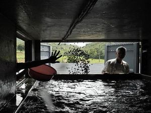 Kontainer Bekas Ini Jadi Lahan Beternak dan Berkebun Kontainer Bekas Ini Jadi Lahan Beternak dan Berkebun