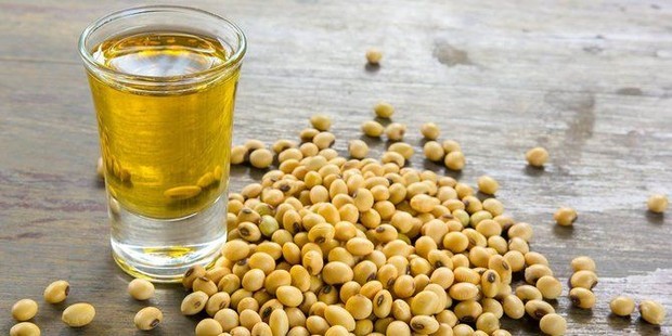 Manfaat Minyak Kedelai/ Foto: Food.detik.com Manfaat Minyak Kedelai/ Foto: Food.detik.com