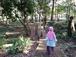 Mencari Ruang Terbuka Hijau di Masa Pandemi