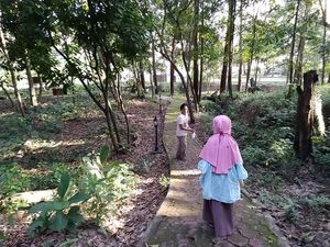 Mencari Ruang Terbuka Hijau di Masa Pandemi Mencari Ruang Terbuka Hijau di Masa Pandemi