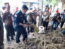 Mentan ke Boyolali Pastikan Pertanian Tak Terganggu Corona