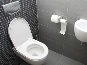 Apa Itu WC? Ternyata Ini Sejarah dan Kepanjangannya