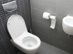 Apa Itu WC? Ternyata Ini Sejarah dan Kepanjangannya