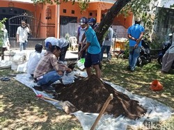 Pupuk Langka, Petani di Malang Dilatih Bikin yang Organik