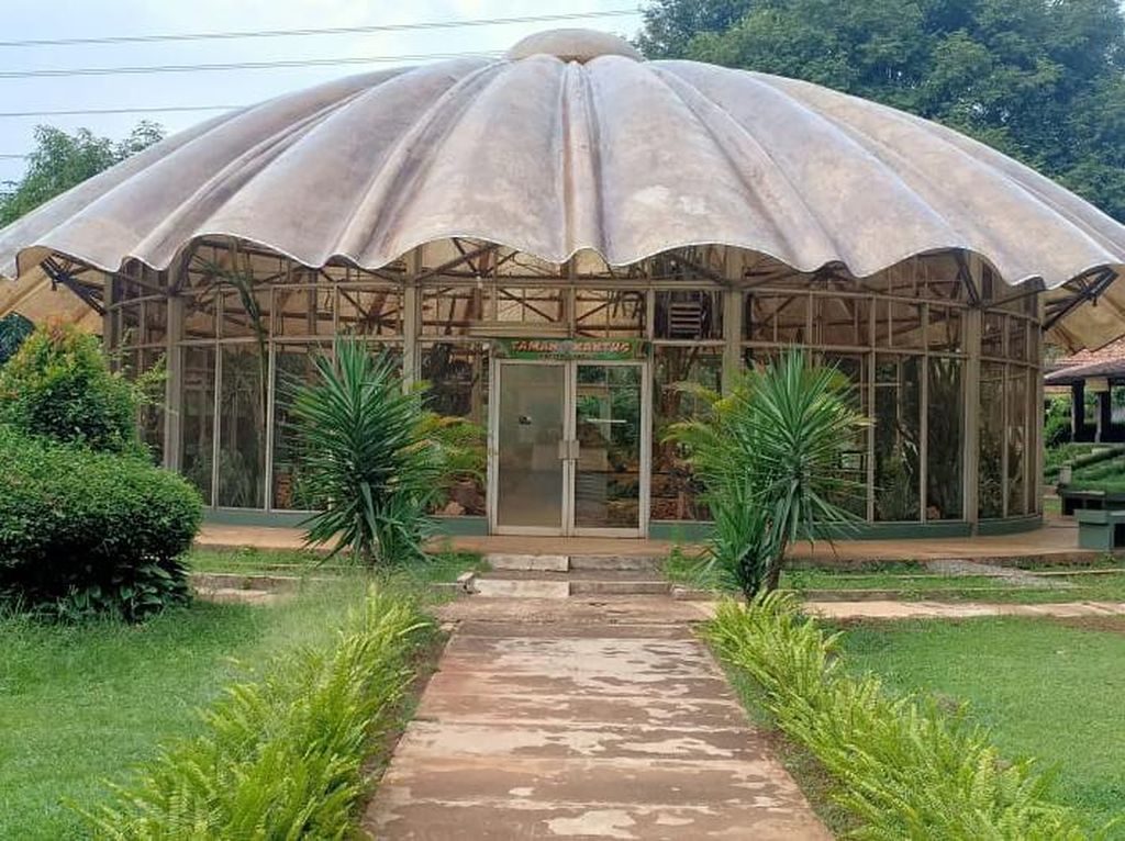 Buka Lagi, TMII Pamer Kaktus Setinggi 2,5 Meter Buka Lagi, TMII Pamer Kaktus Setinggi 2,5 Meter