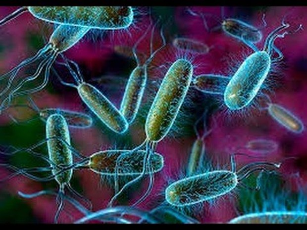 mitos bakteri dan virus rambut