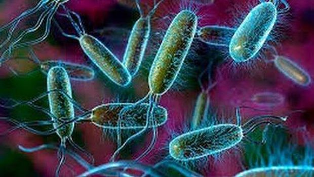 mitos bakteri dan virus rambut