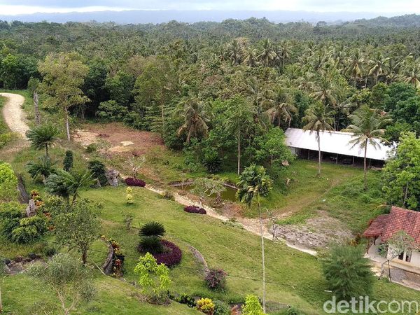 Potret Alam Pangandaran dari Puncak Bukit