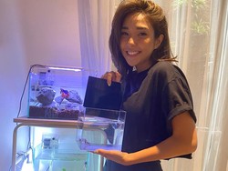 Tips Agar Ikan Cupang Tak Cepat Mati dari Gisel yang Ketagihan Punya Cupang