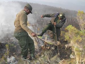 Gunung Kilimanjaro Dilanda Kebakaran, Pendaki Asing Dievakuasi Gunung Kilimanjaro Dilanda Kebakaran, Pendaki Asing Dievakuasi